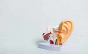 Kulak Tıkanıklığı Nedir? Belirtileri, Nedenleri ve Tedavi Yöntemleri 2 Kulak Tıkanıklığı Neden Olur?