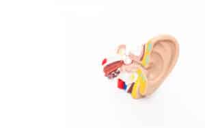 Ana Sayfa 2 Vestibüler Nörinit - AsyaKBB